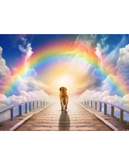 Rainbow Bridge for Pets Diamond Painting